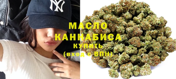 сатива Бородино