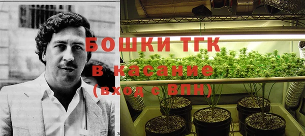 сатива Бородино