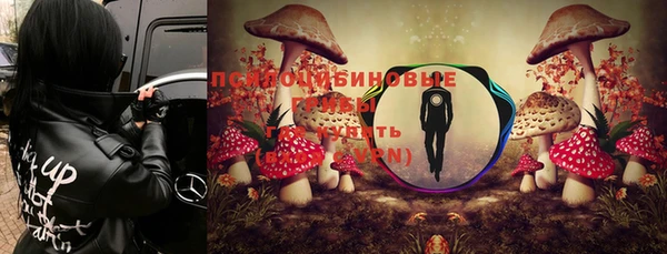 трава Богородицк