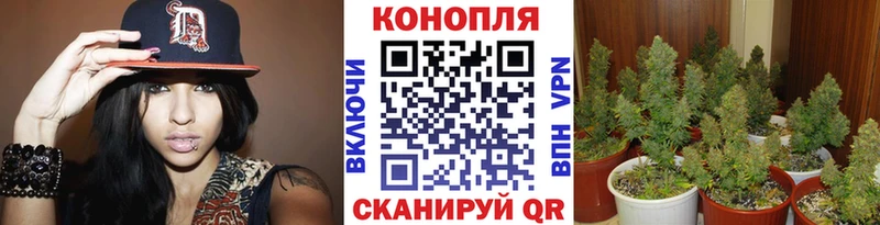 blacksprut рабочий сайт Мончегорск Конопля THC 21% дарк нет телеграм купить наркотики сайты